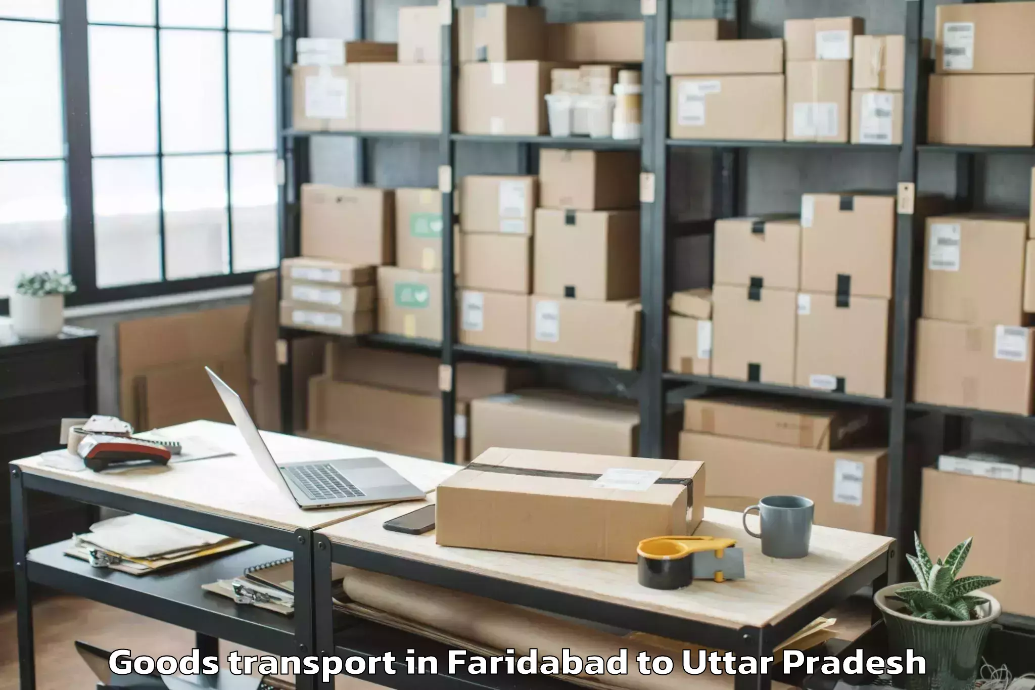 Get Faridabad to Palia Goods Transport